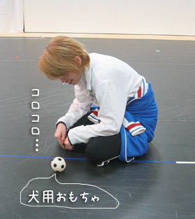 ん？！　これ何？！