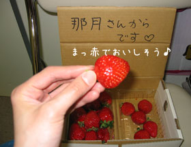 いちご2